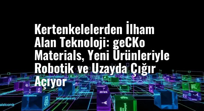 Kertenkelelerden İlham Alan Teknoloji: geCKo Materials, Yeni Ürünleriyle Robotik ve Uzayda Çığır Açıyor