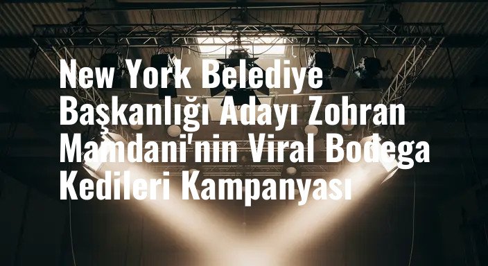 New York Belediye Başkanlığı Adayı Zohran Mamdani'nin Viral Bodega Kedileri Kampanyası