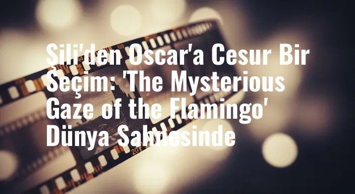 Şili'den Oscar'a Cesur Bir Seçim: 'The Mysterious Gaze of the Flamingo' Dünya Sahnesinde