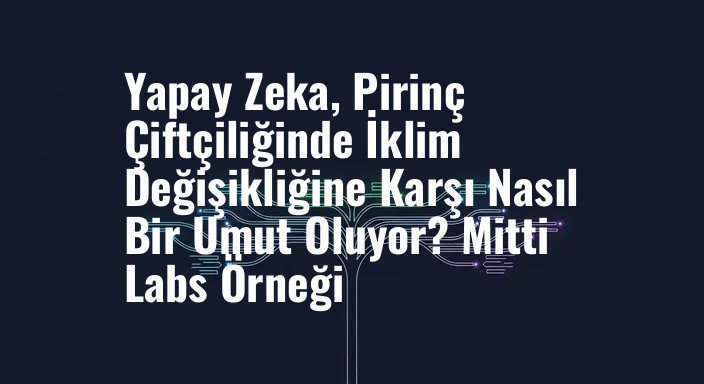 Yapay Zeka, Pirinç Çiftçiliğinde İklim Değişikliğine Karşı Nasıl Bir Umut Oluyor? Mitti Labs Örneği